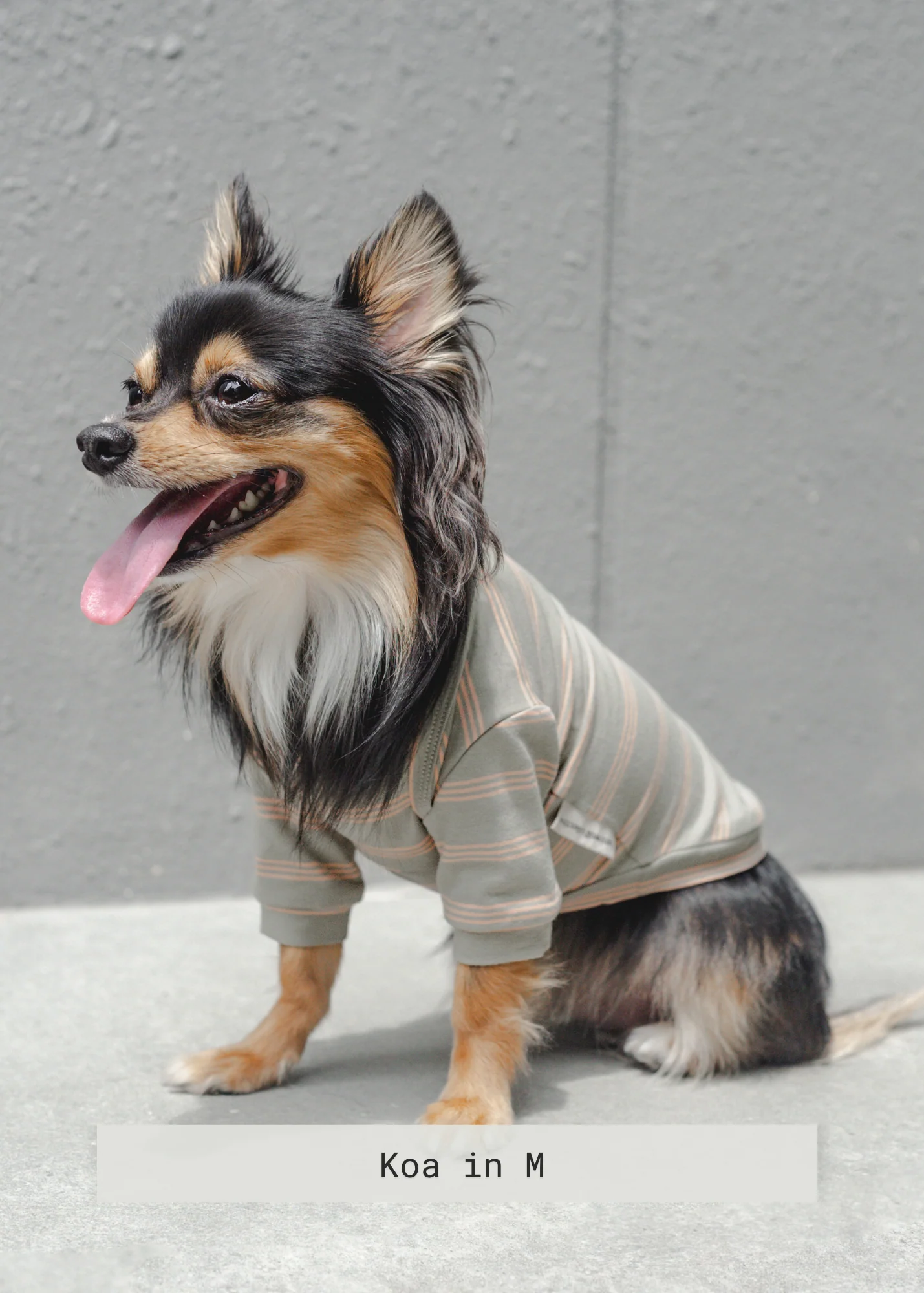 Chelsea Dog Tee - Fern