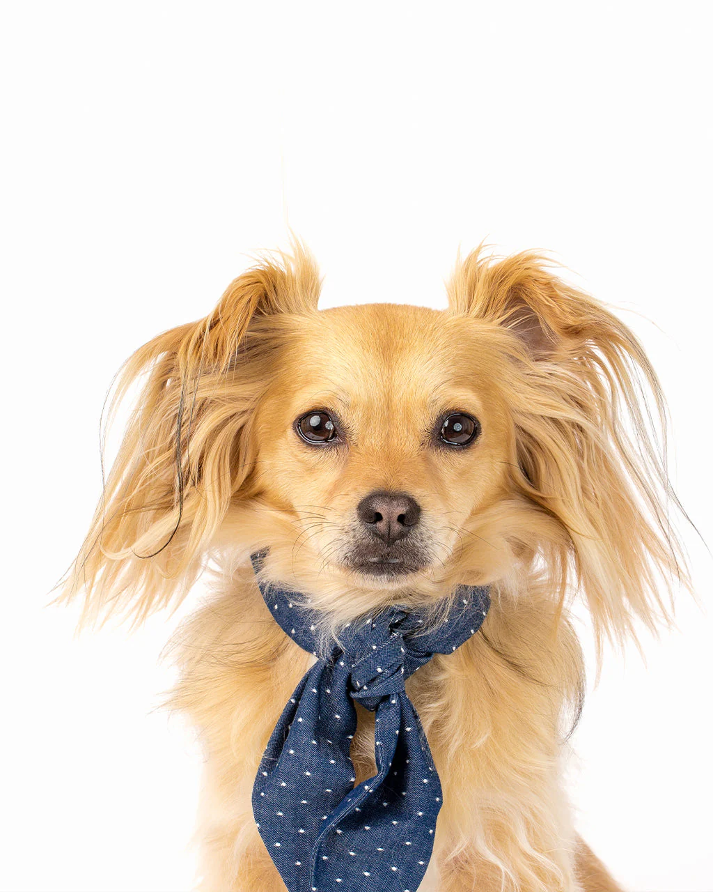 Classic Necktie - Image 6