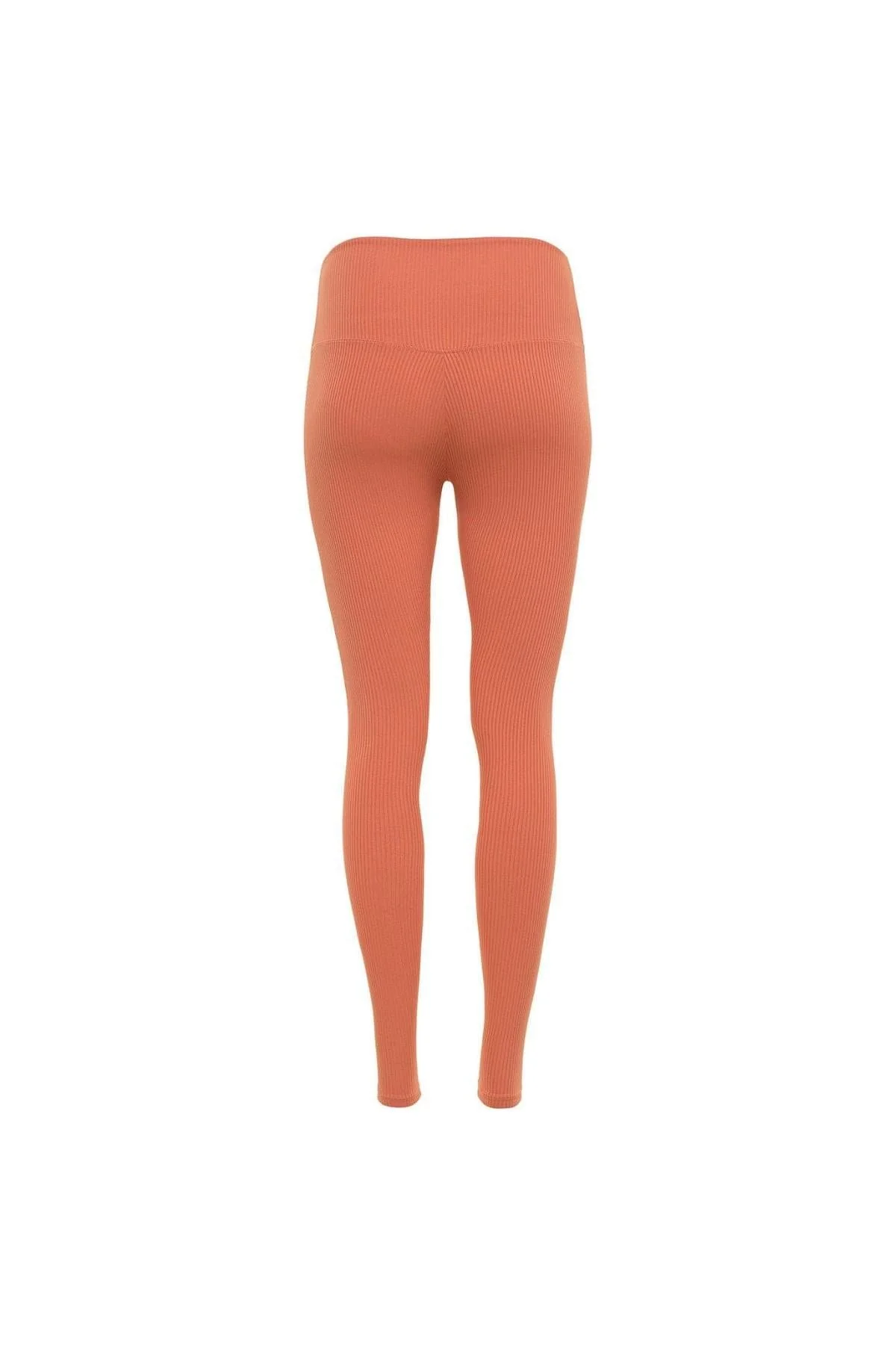 Coral Rib Wide Band Legging - Image 3
