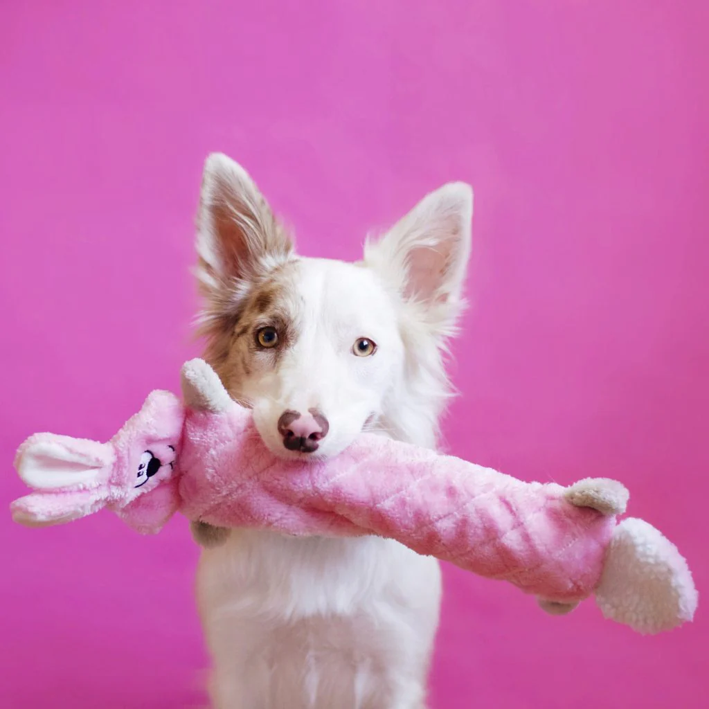 Jigglerz - Bunny - Image 2