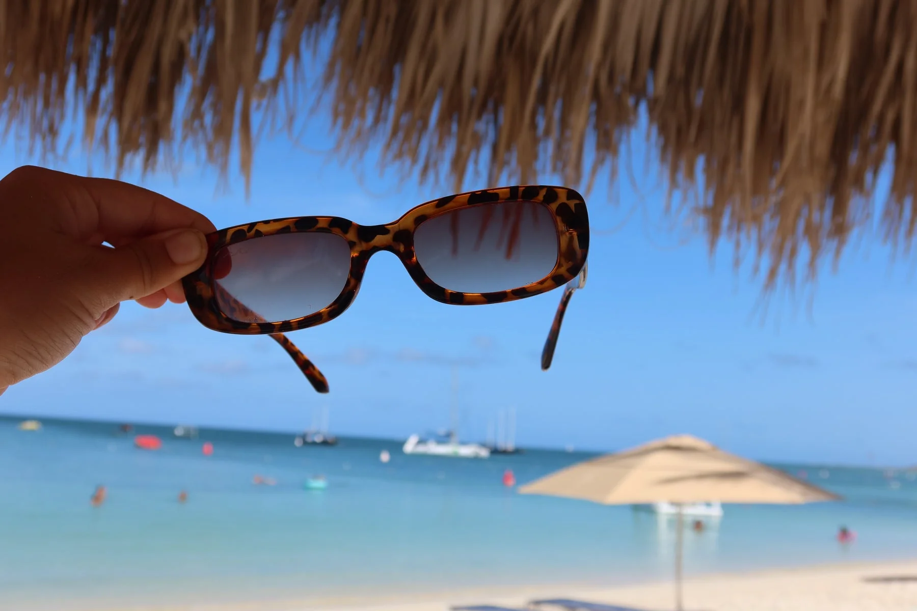 Scorpion Sunglasses - Image 3