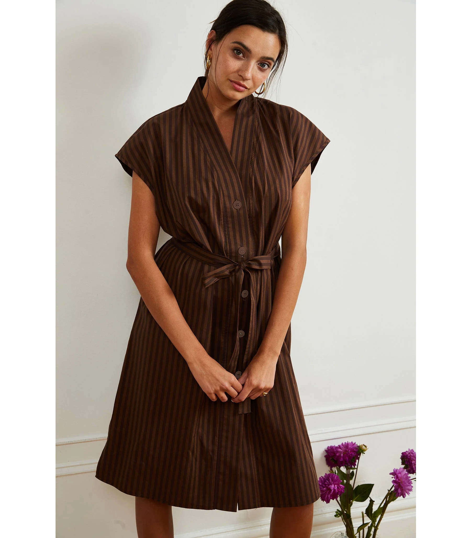 Tina Short Sleeved Shirt Dress - Brown Stripe - Image 5