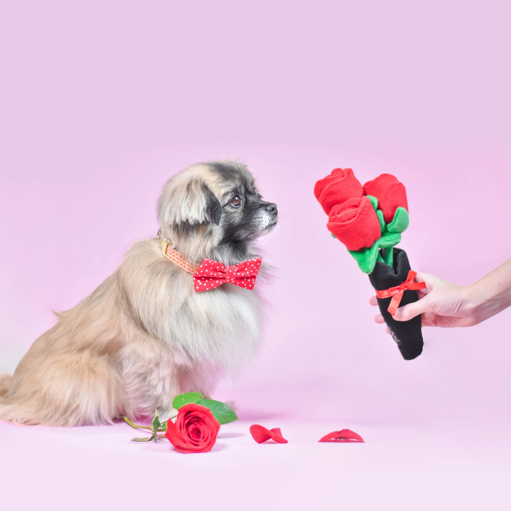 Zippy Burrow - Bouquet of Roses - Image 4
